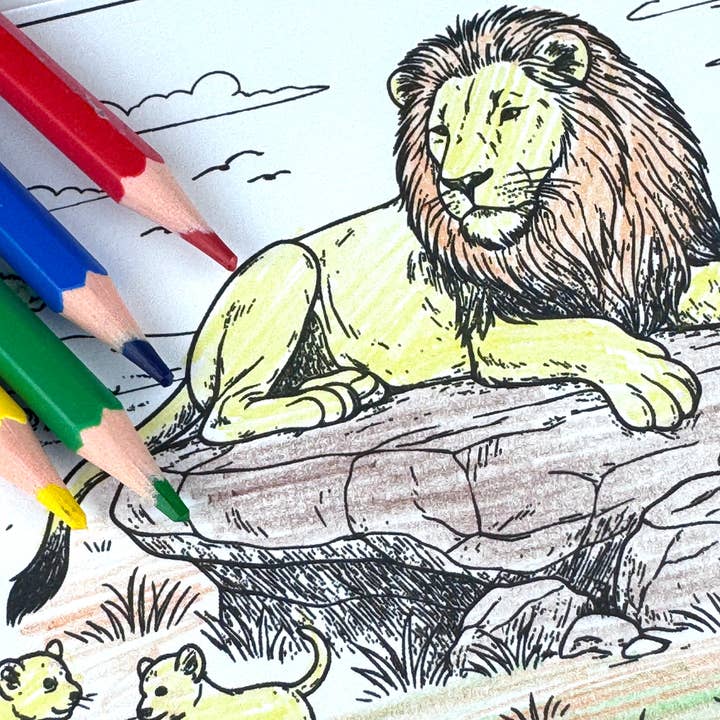 Colorfill Club - Wholesale Display book - Safari Colouring Postcard Set of 10 – African Animals5