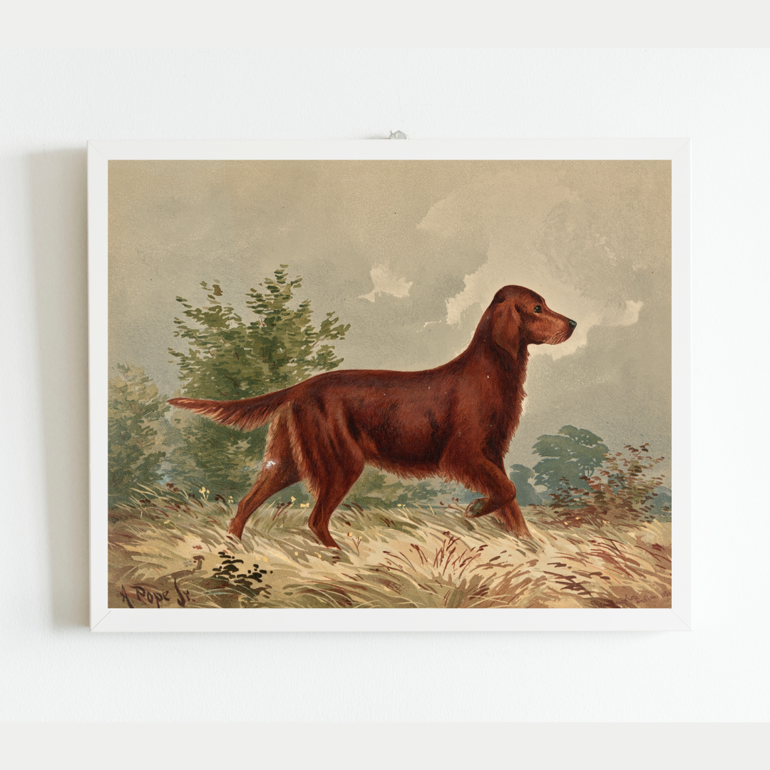 Sea to Skye - Wholesale Art Print - Flatcoated Retriever Antique Art Print2
