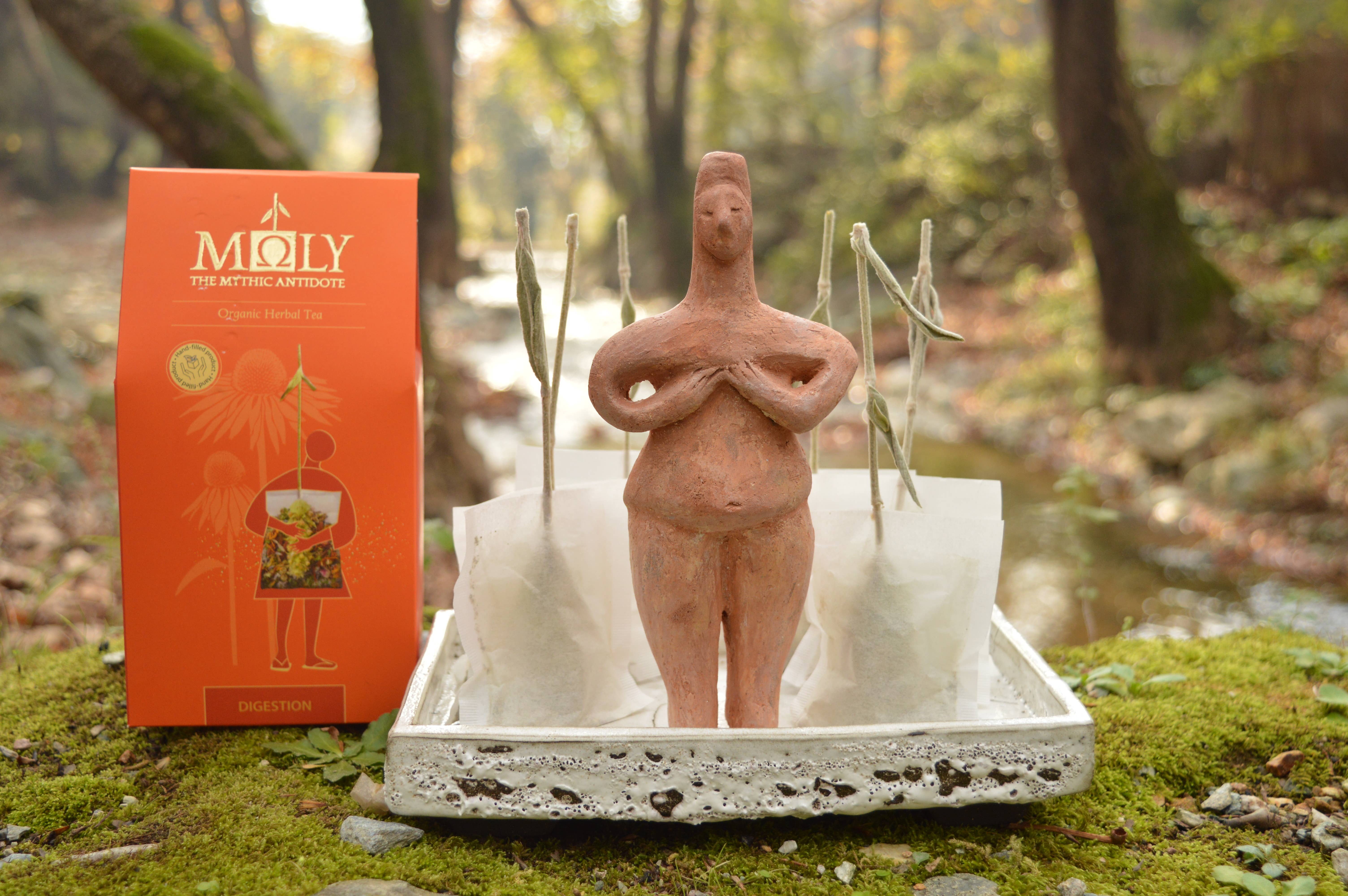 Moly the mythic antidote - Vendita all'ingrosso Tisane salutari e depurative - Tisana bio per la digestione con rametto di erbe5