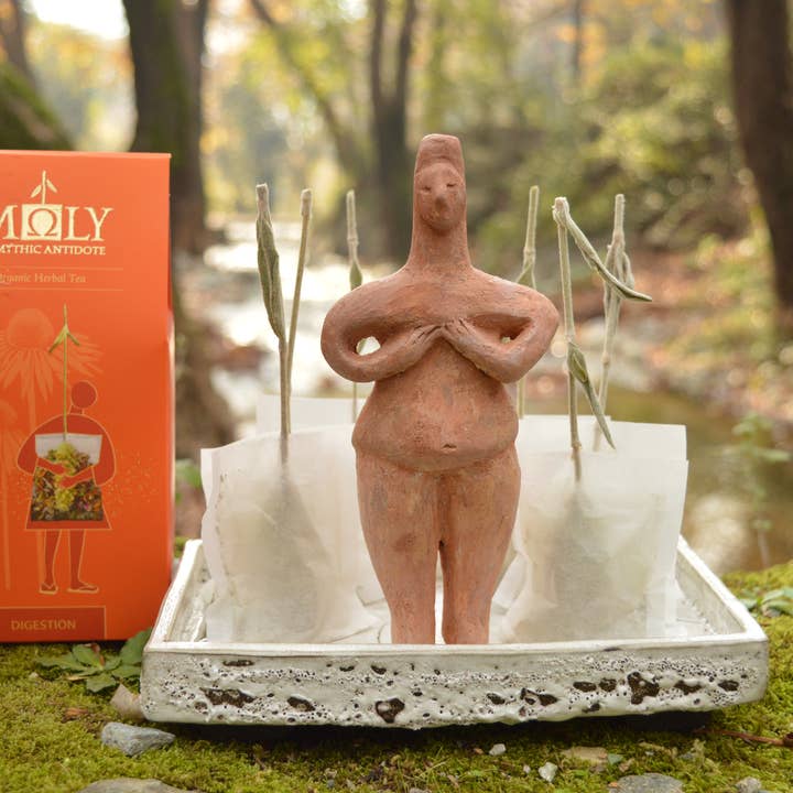 Moly the mythic antidote - Vendita all'ingrosso Tisane salutari e depurative - Tisana bio per la digestione con rametto di erbe5