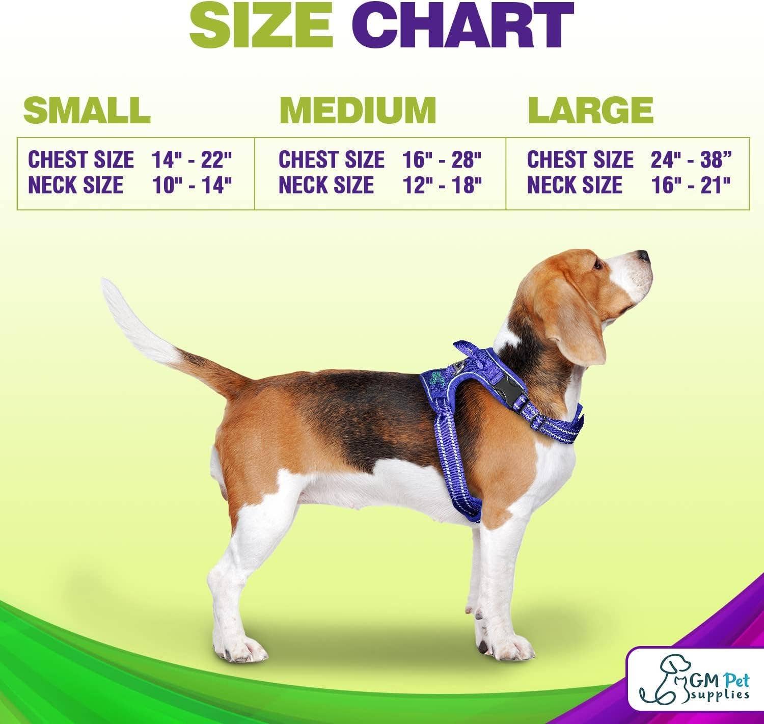 Katziela - Wholesale Pet Harness - Dog - Dog Harness Walking kit and Leash Set1