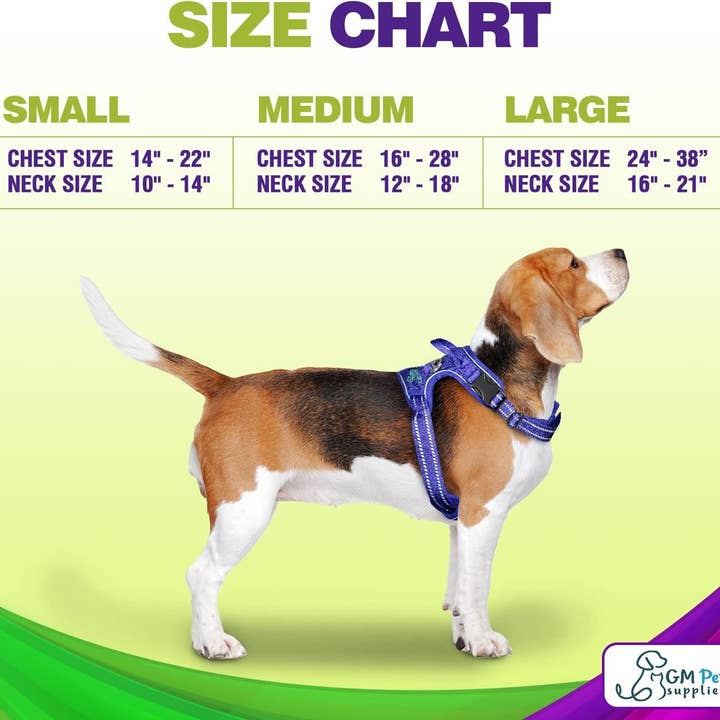 Katziela - Wholesale Pet Harness - Dog - Dog Harness Walking kit and Leash Set1