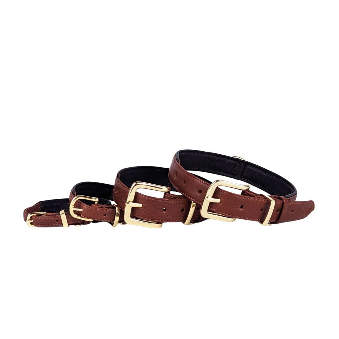 Le Dog Company - Wholesale Pet Collar - Dog - Padded Leather Collar9