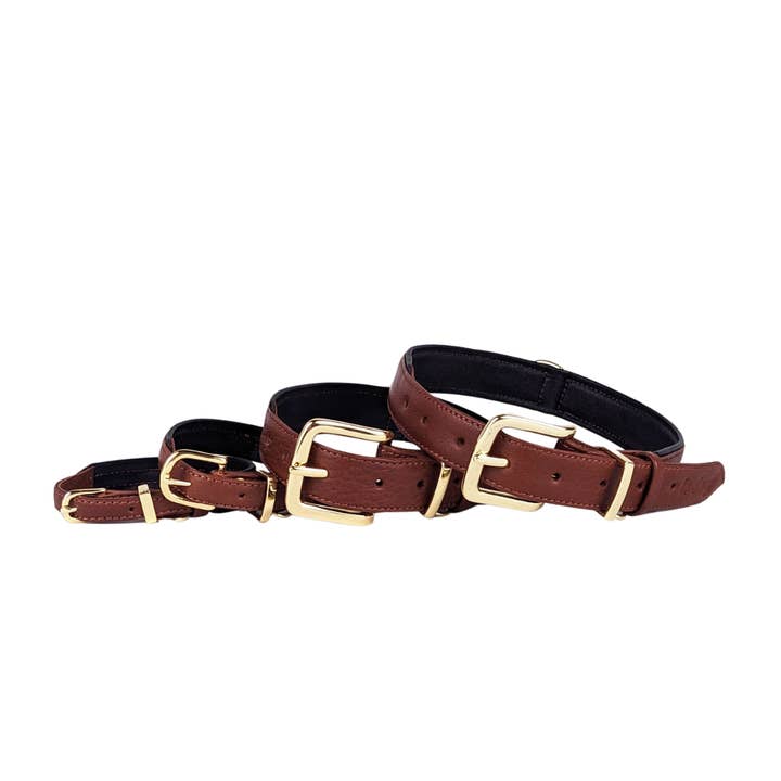 Le Dog Company - Wholesale Pet Collar - Dog - Padded Leather Collar9