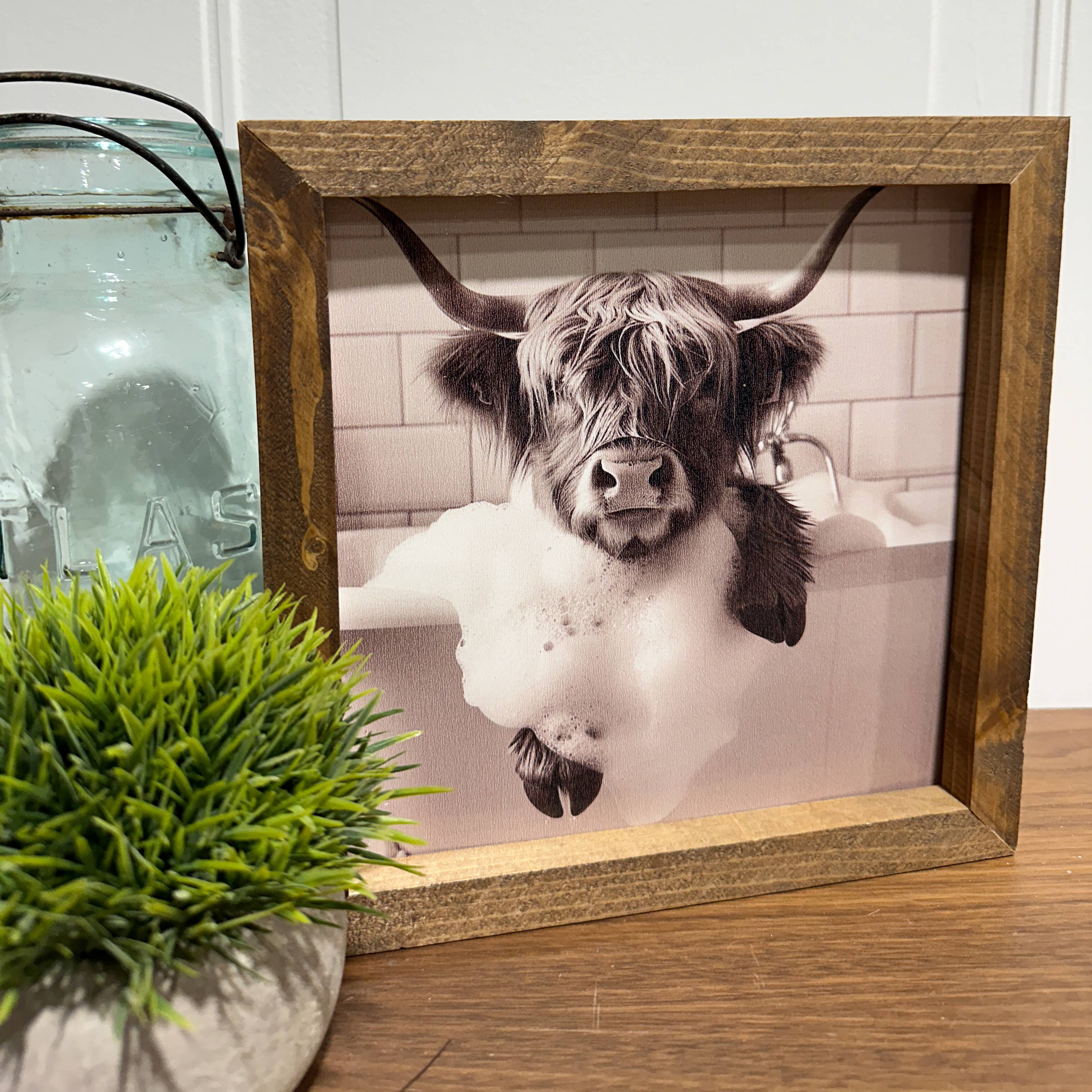 The Broken Board - Venta al por mayor Ilustración - Vaca Highland sumergida en la bañera2