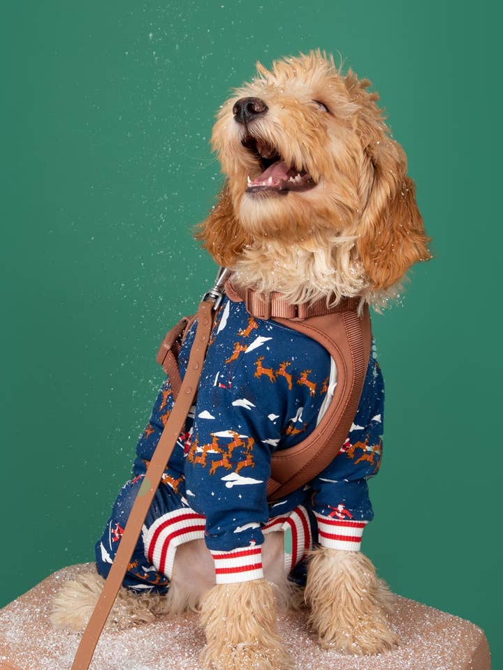 Good Thomas – wholesale Sleepwear set – men's – Santa Sleighs Pajama (Dog & Kid Sizes Only)3