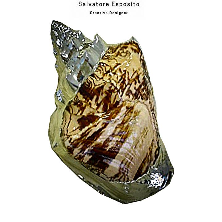 Cod.96620 Naturlig Voluta ebraeus i sølv for engroshandel hos I Gioielli del Mare di Salvatore Esposito