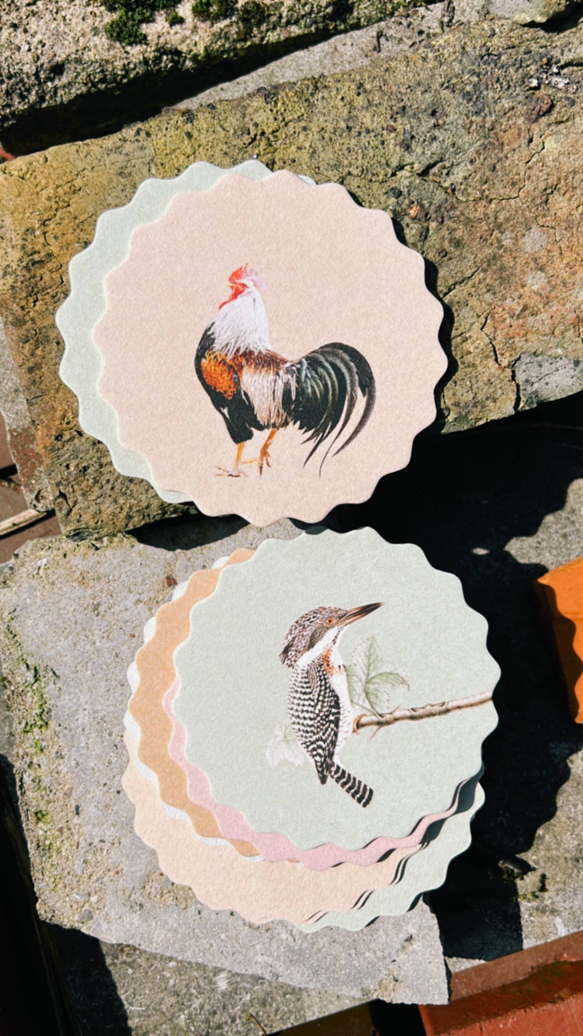 30x40 - Wholesale Coasters - Coaster Set Good Vibes 🍀🐓🐢 UPDATE - New Designs10