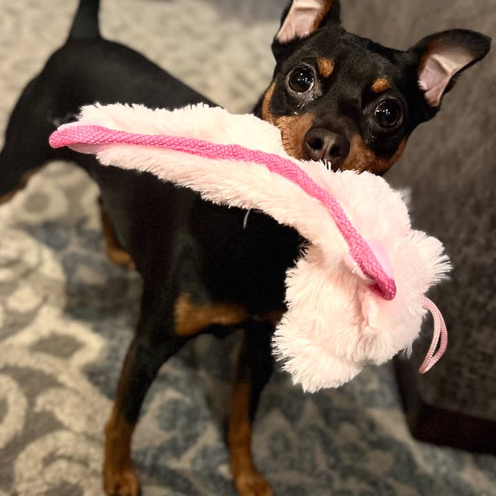 Baby Fuzzy - Pink Piggy for wholesale by Lightning Dog