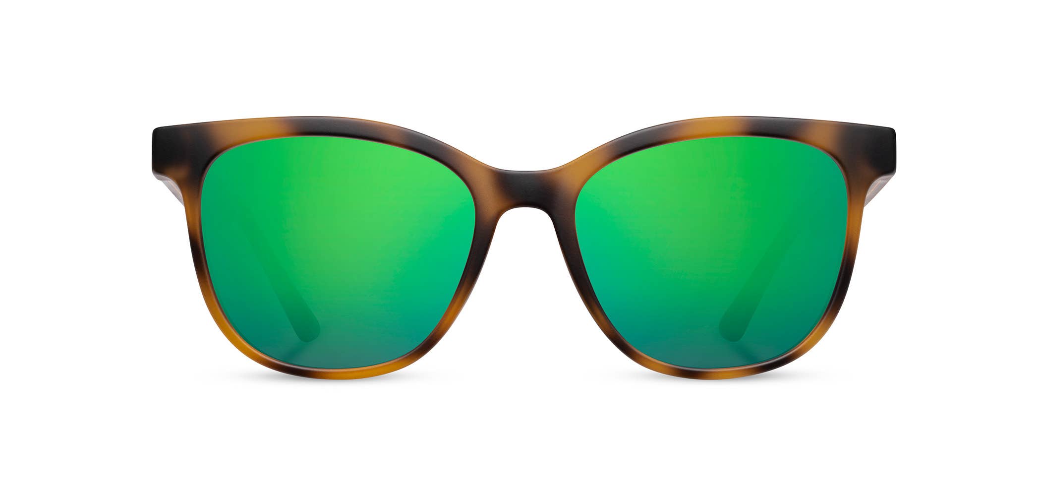 CAMP Eyewear - Wholesale Sunglasses - Unisex - CAMP Cove Sunglasses - Matte Tortoise11