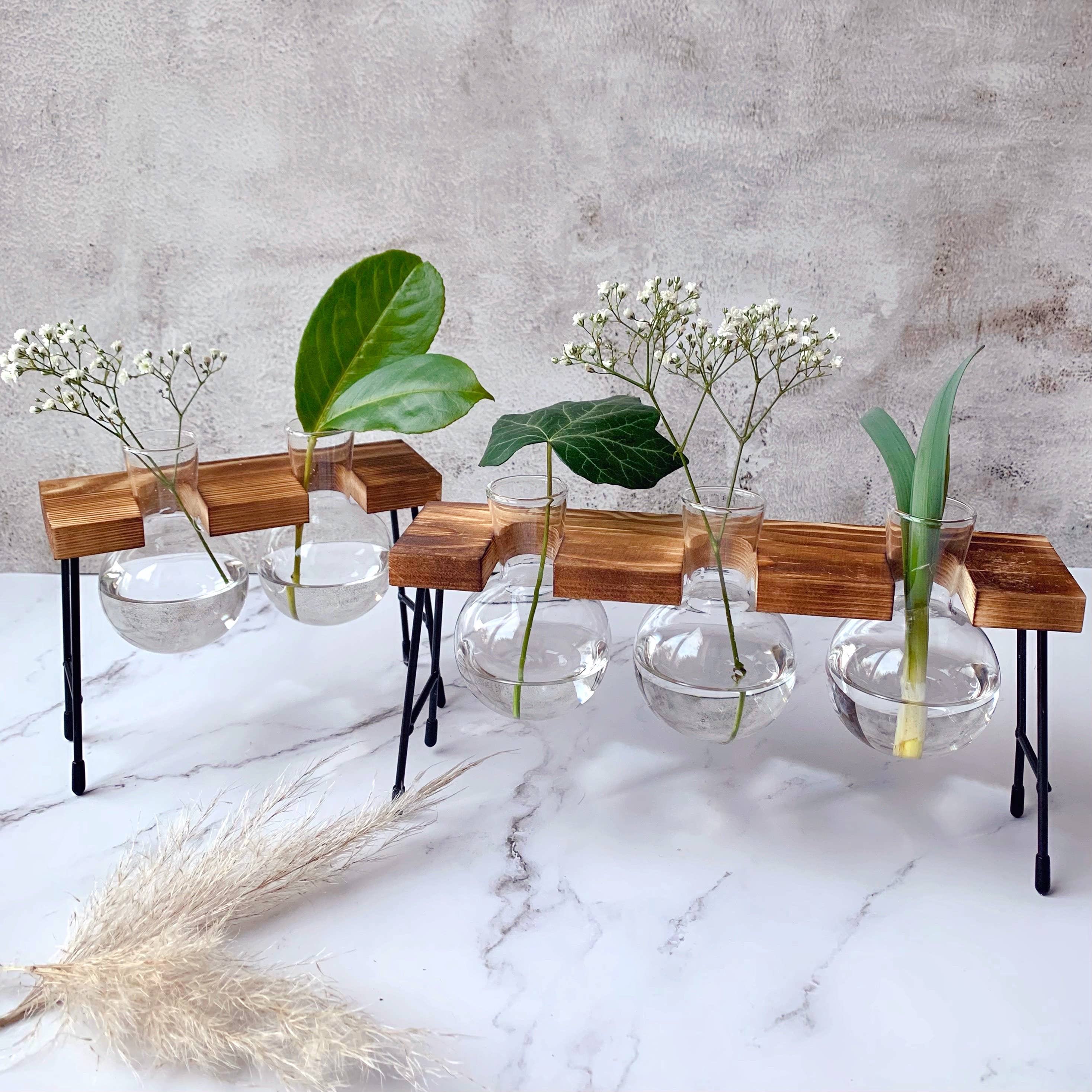 IVORE.GROUP (We cover All Import duty) – wholesale Vas – Glasvas med trästativ för hydroponisk odling1