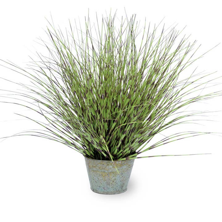 Decorazione sintetica in erba zebra da 20 pollici per la vendita all'ingrosso da parte di Boston International