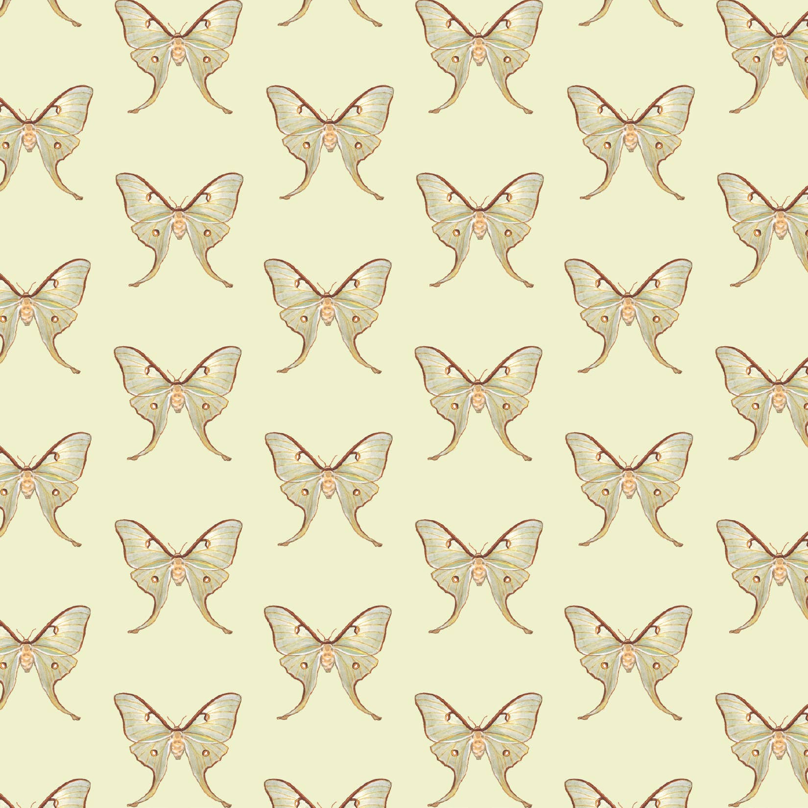 Yeesan Loh - Wholesale Flat Wrap - Gift Wrap / Butterflies & Moths5