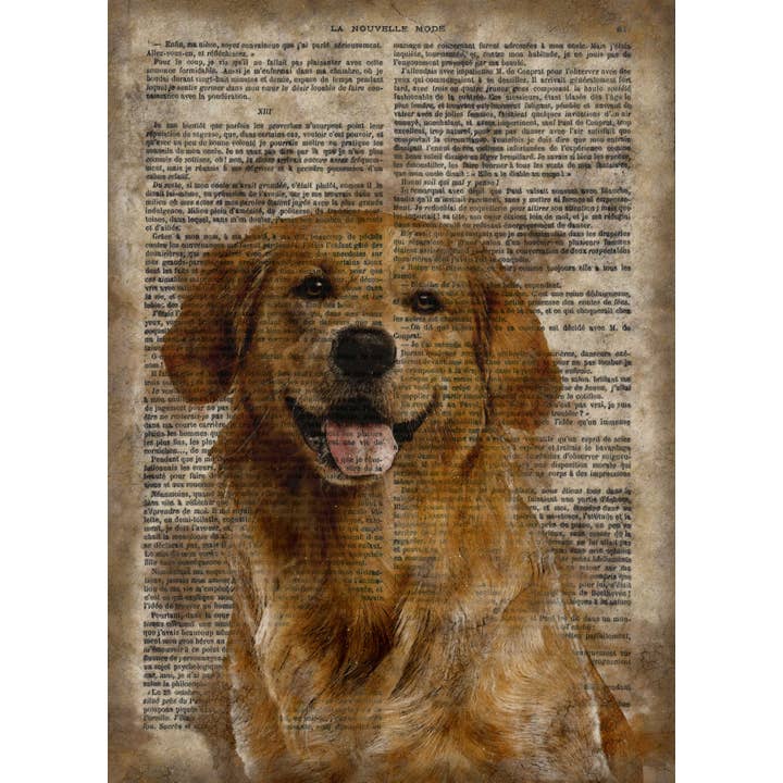 The Shizzle Print Co – Impressão artística por atacado – Placa de parede de madeira de papel vintage Golden Retriever 12 x 8”