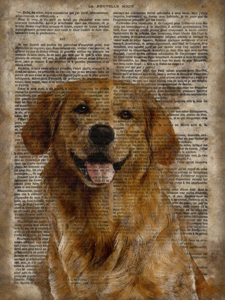 Cartel de pared de madera de papel vintage Golden Retriever de 12 x 8» para venta al por mayor de The Shizzle Print Co