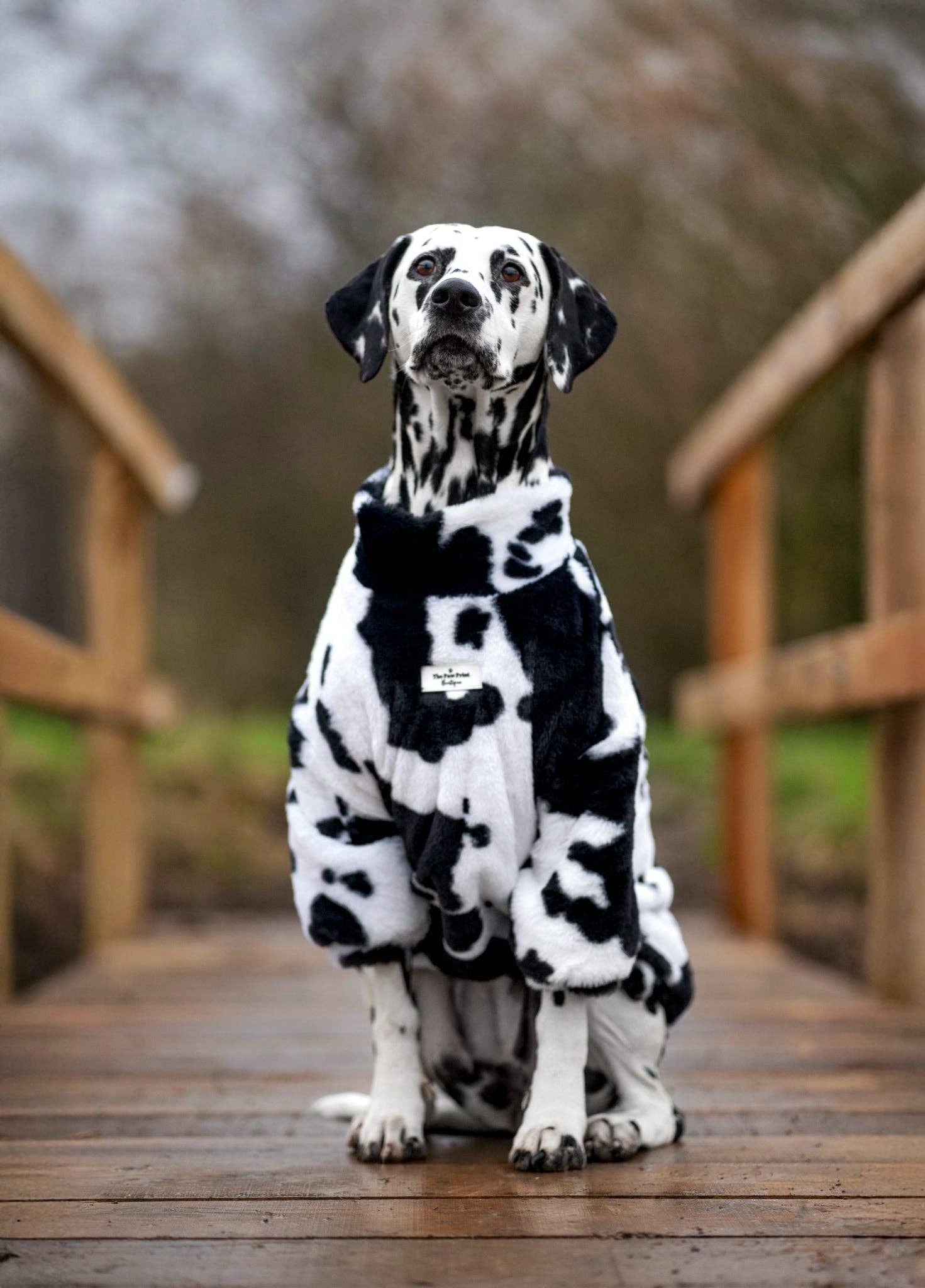 The Paw Print Boutique - Wholesale Pet Coat - Dog - The Cow Print Fluffy & Fabulous Fleece8