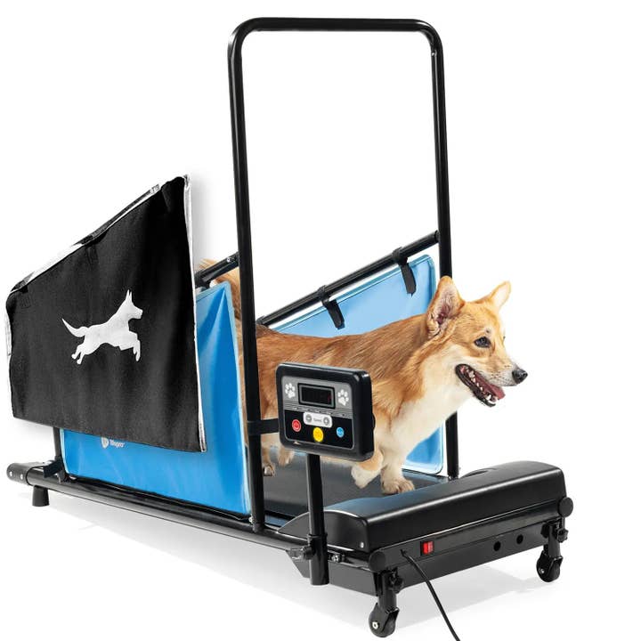 LifePro - Wholesale Fitness Equipment - PawRunner Pet Treadmill