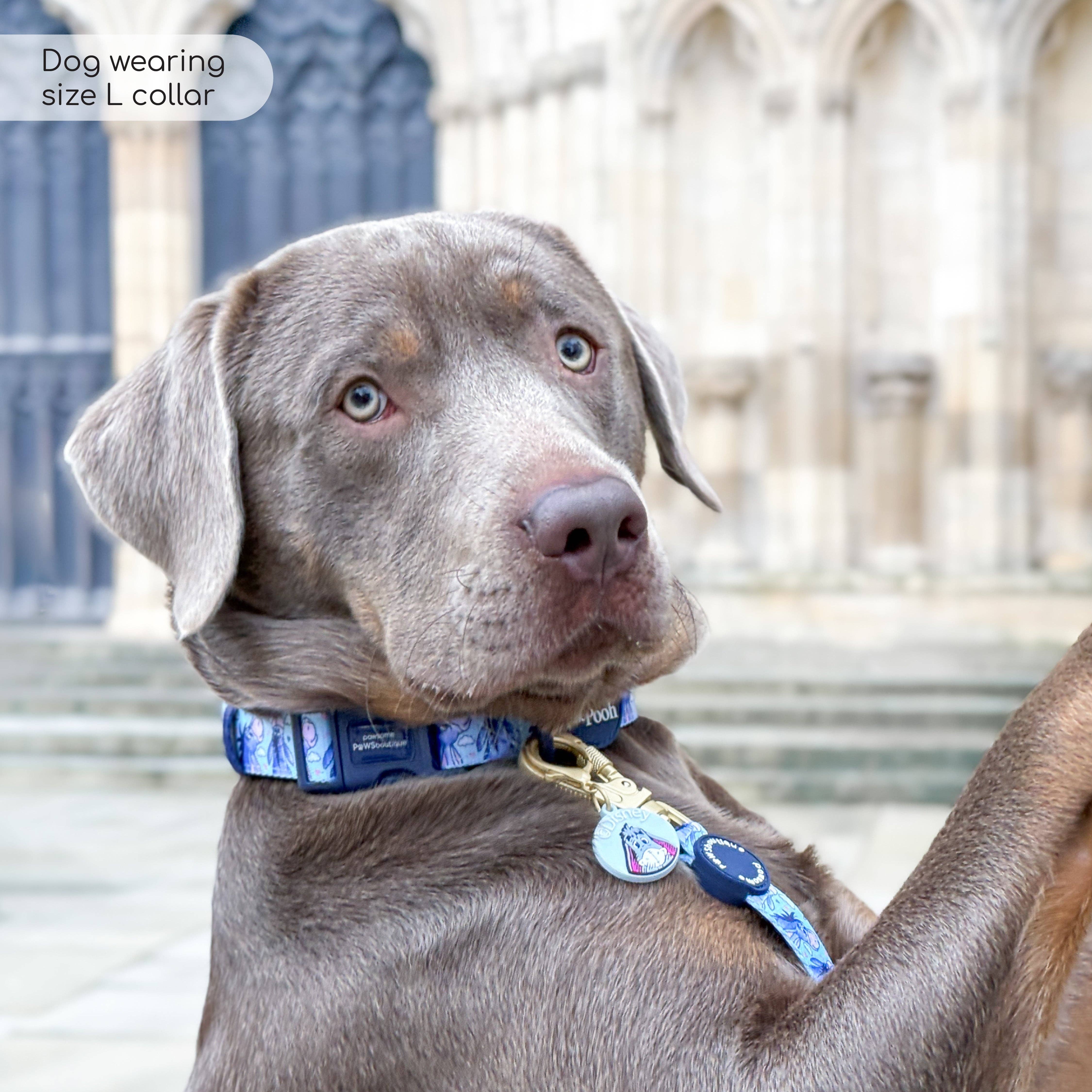 Pawsome Paws - Vendita all'ingrosso Collare - Cani - Collare Disney© - Ih-Oh9