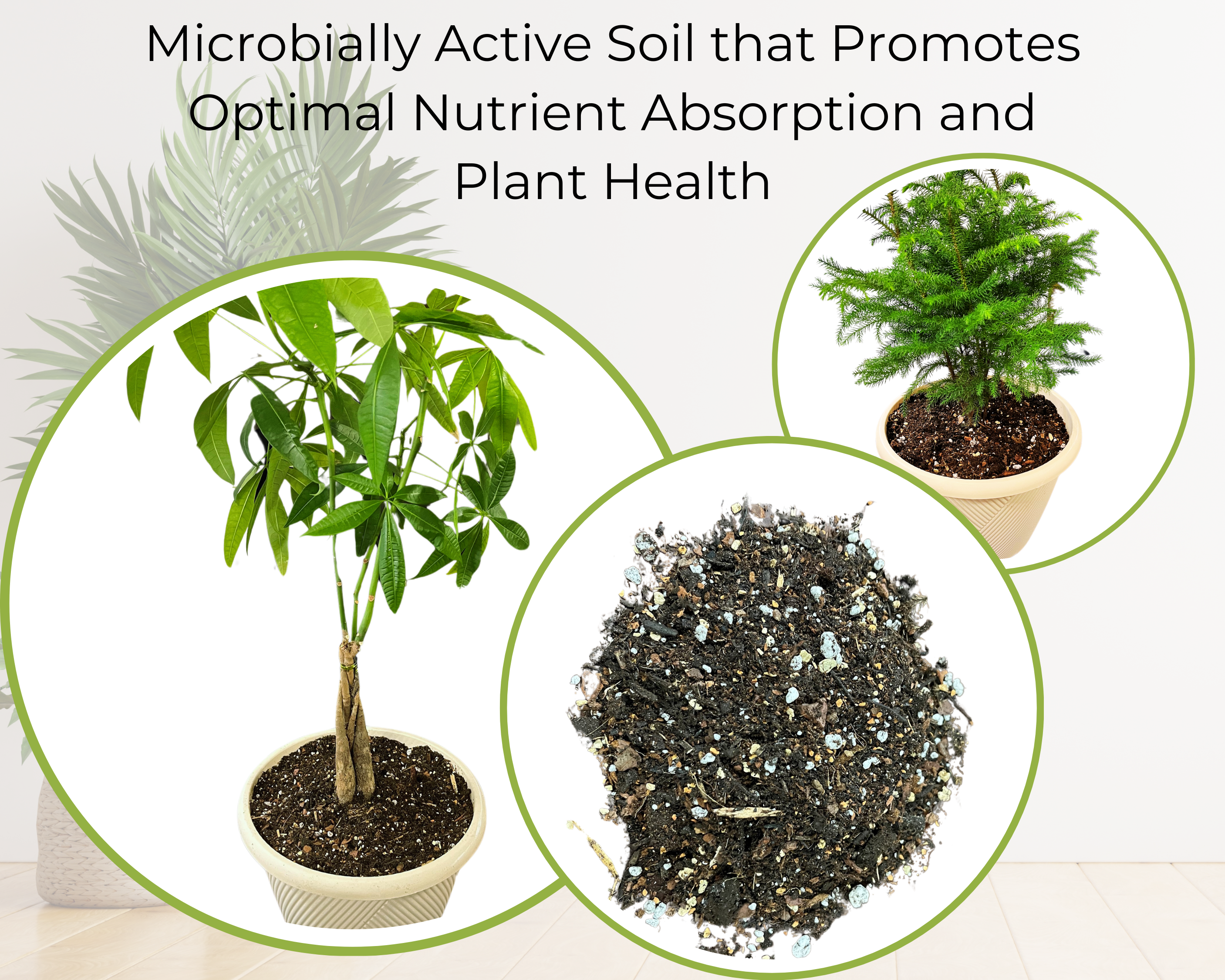 Happy Bunny Farms - Wholesale Planting/Potting Soil - Houseplant Premium Potting Soil, 4QT Bag2