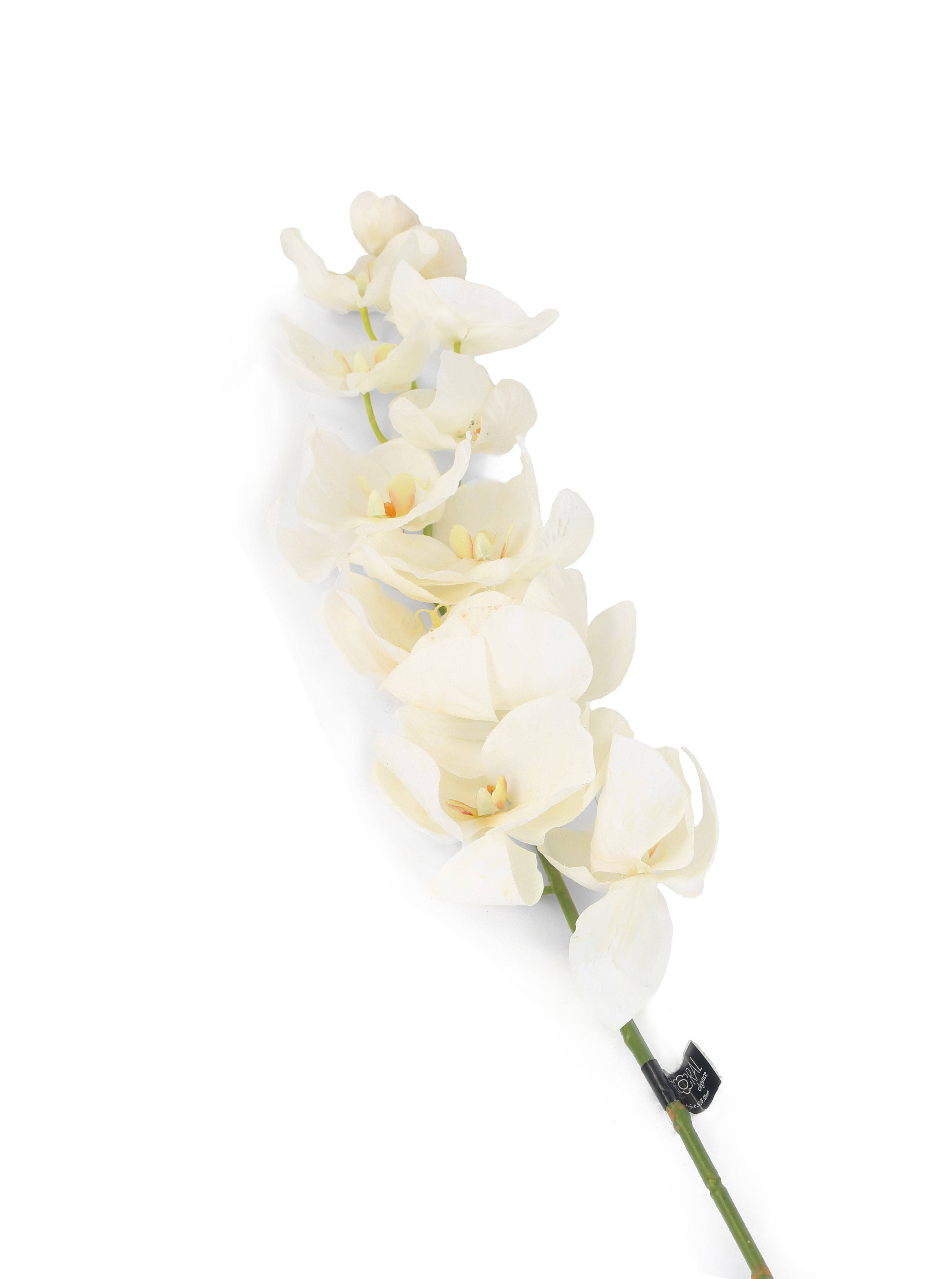 Closer2Nature – wholesale Artificial flowers – Artificial 109cm Single Stem White Phalaenopsis Orchid0