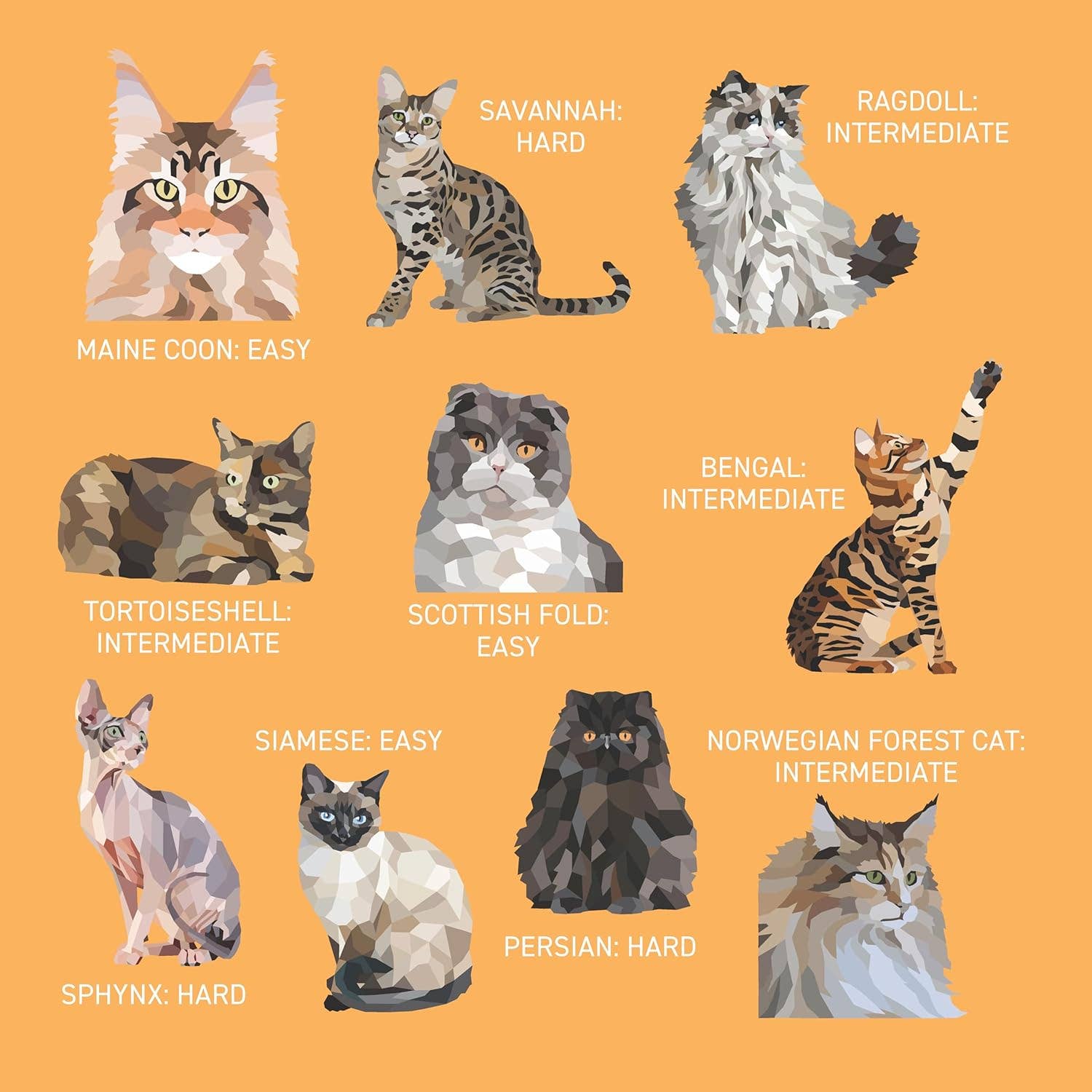 Fox Chapel Publishing - Vente Livre de coloriage et d'activités pour enfants et bébés - Mes peintures autocollantes : Chats - 10 félins incroyables5