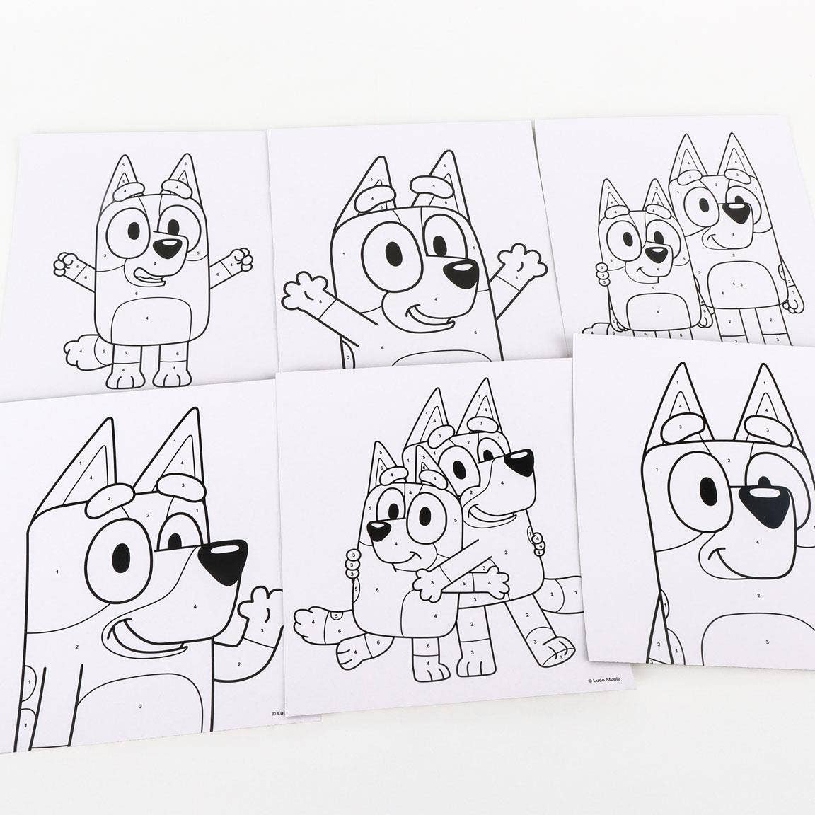 Mastoys, S.L. - Wholesale Stationery/Notecard Set - BLUEY COLORABLE STATIONERY SET - 27000017262