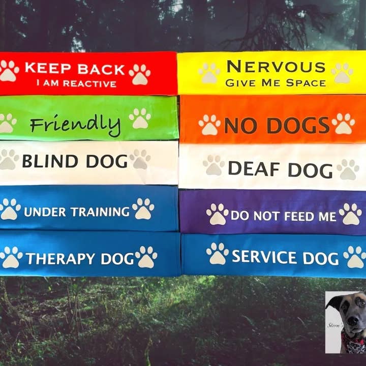 Storms Style - Wholesale Pet Leash - Dog - Lead Slips - Reactive, Nervous, Blind, Deaf, Friendly