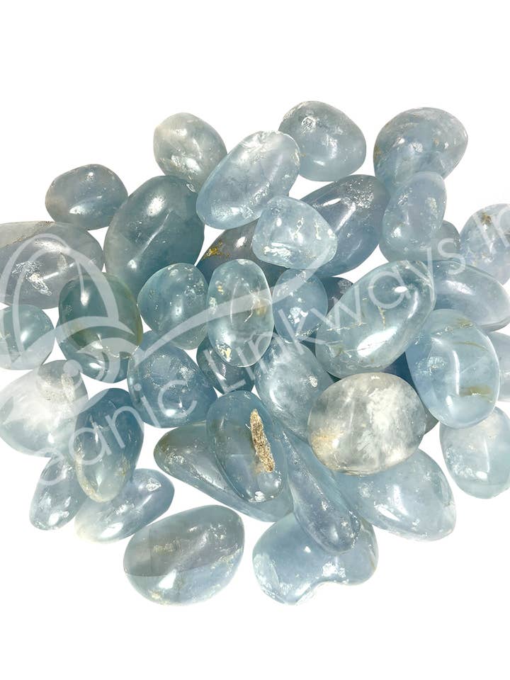 (kg) Pierres roulées - Célestite B 30 mm pour la vente par Oceanic Linkways Inc