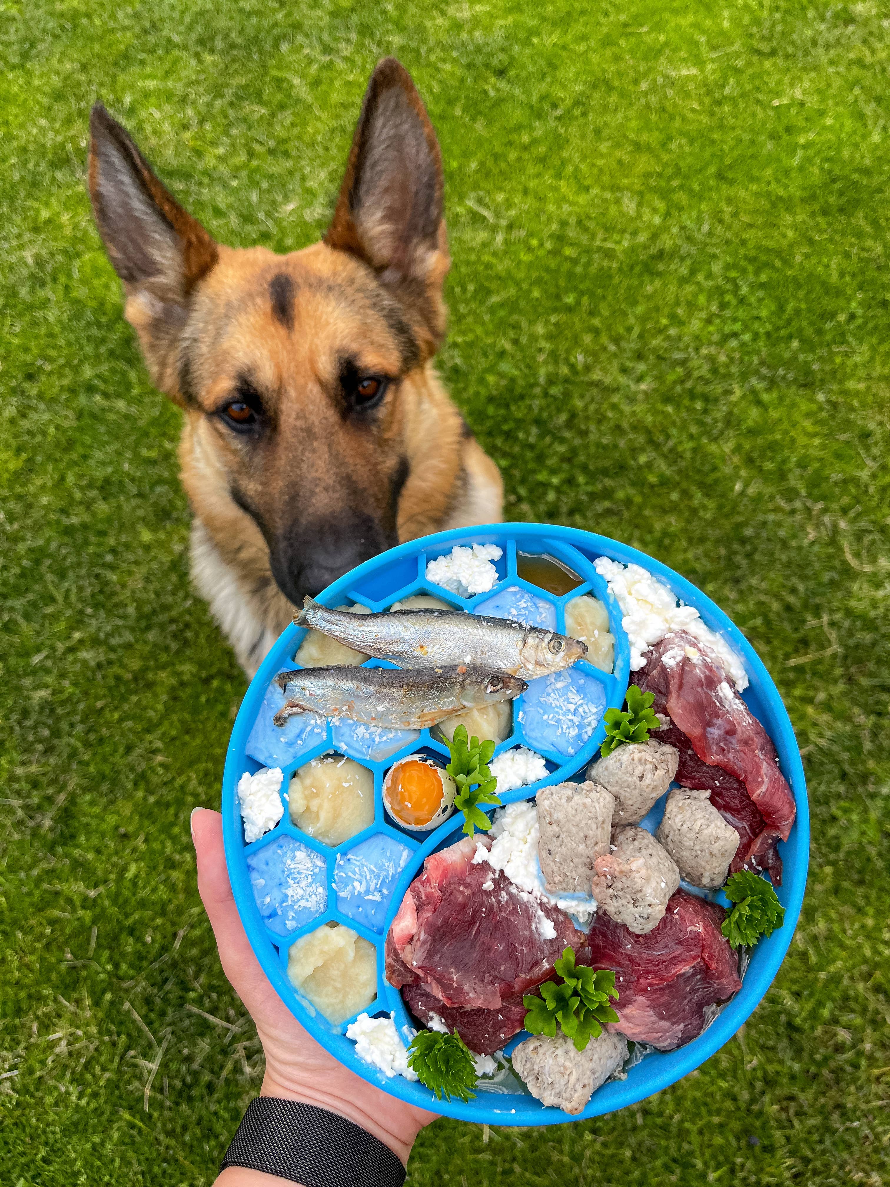 Doggotique - Wholesale Pet Food Mat - Dog - Lick Mat Yin&Yang for Dogs and Cats7