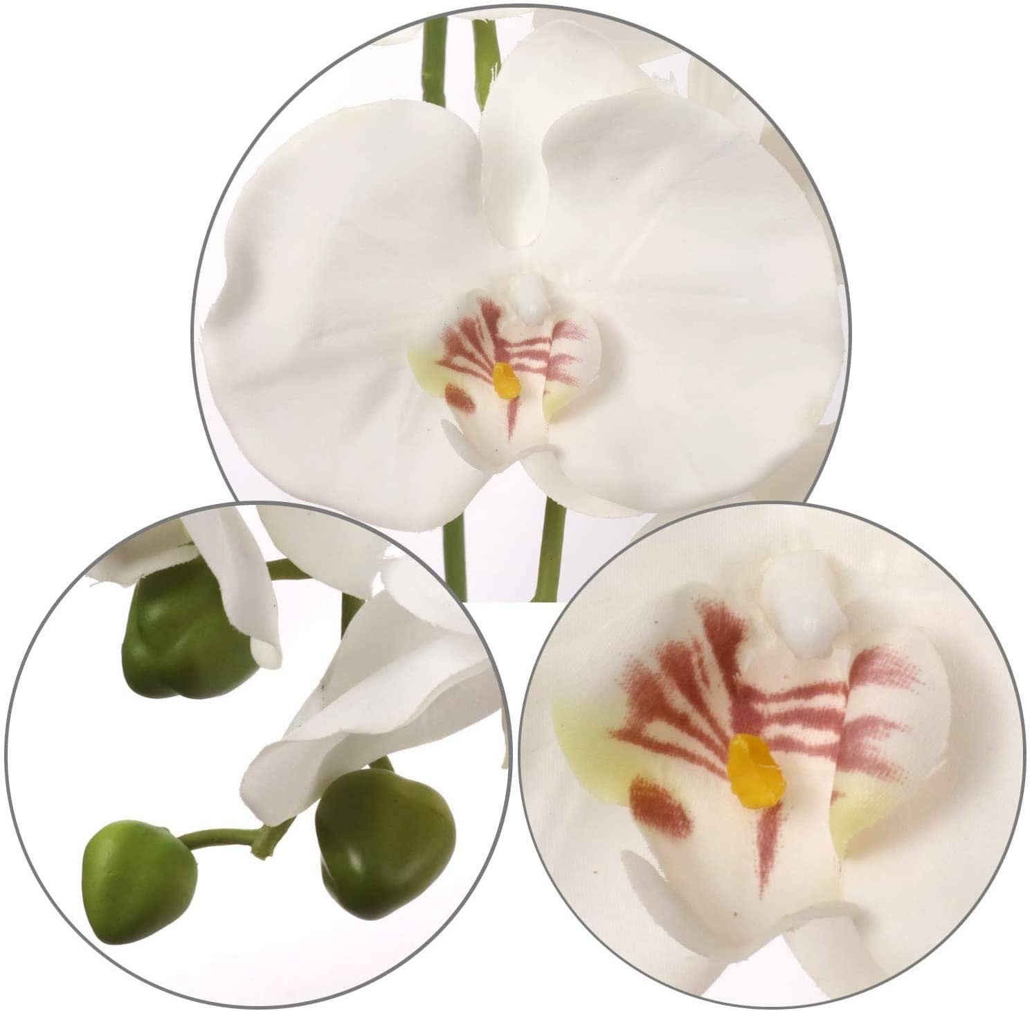 Larksilk - Vendita all'ingrosso Fiori finti - Orchidea Phalaenopsis in seta Real Touch con 9 fiori realistici1