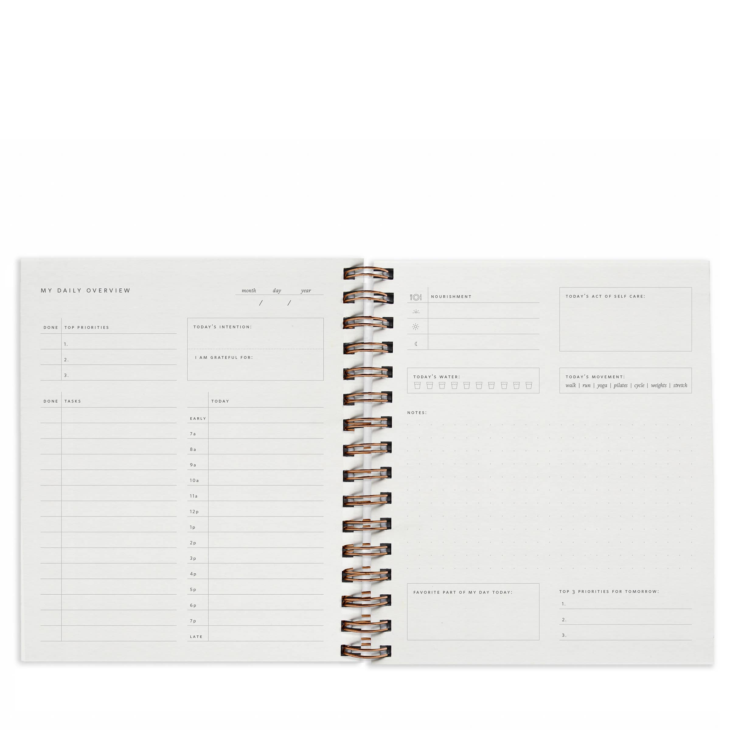 Ramona & Ruth - Wholesale Planner - Daily Overview Planner in Rainbow // Undated Desk Agenda1