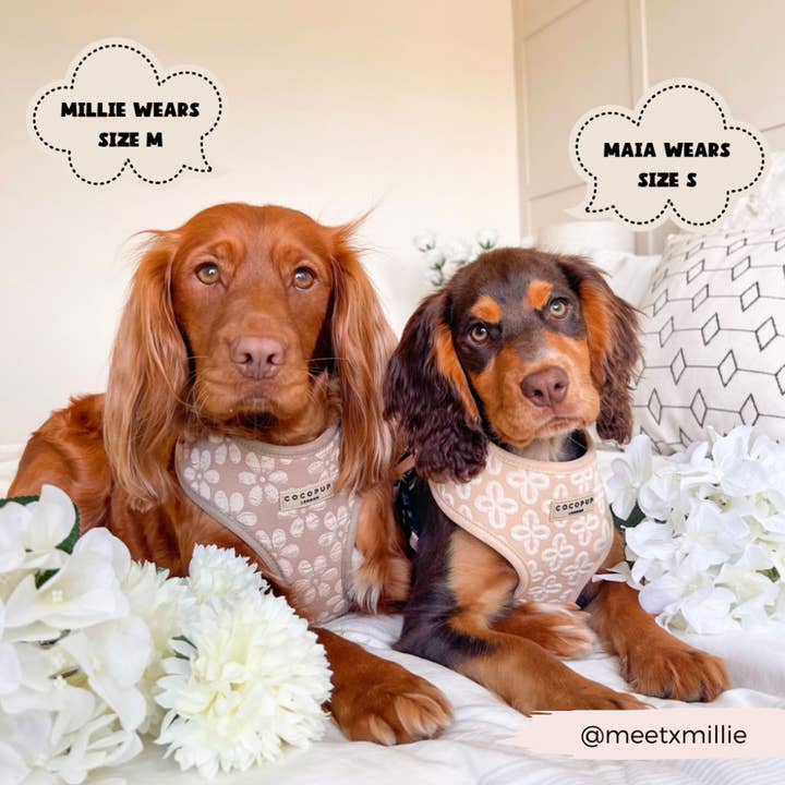 Cocopup London - Wholesale Pet Harness - Dog - LUXE Adjustable Neck Harness - Mocha Flower3