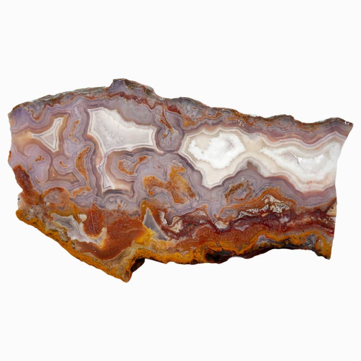 Agua Nueva Agate Slab - Prime Fortification Purple Drusy Moss for wholesale by Lapidary Central