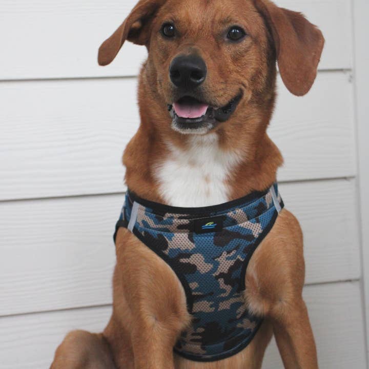 Doggie Design - Wholesale Pet Harness - Dog - American River Camouflage Dog Harness - Blue Camo3
