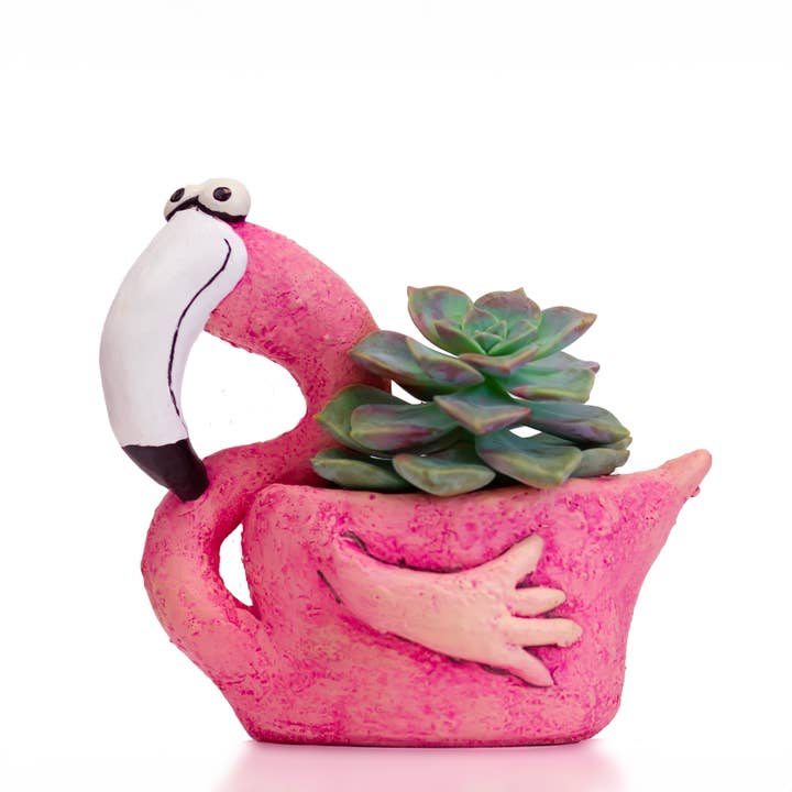 Cohasset Gifts - Wholesale Plant Pot - Fiona Flamingo Blobhouse Planter1