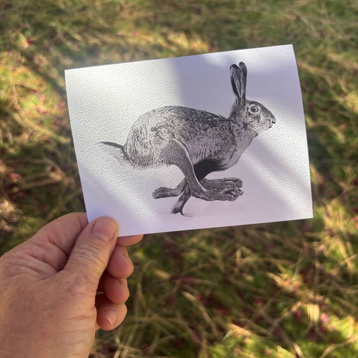 Hare Notecard (Package of 6) for wholesale by Laughing Mule Press