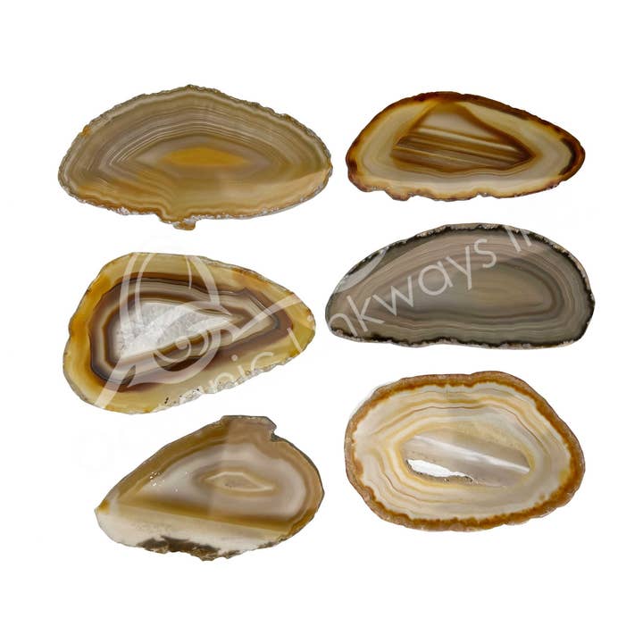 Oceanic Linkways Inc - Wholesale Spiritual Stone/Crystal - SLICE - AGATE, NATURAL 2-4"0