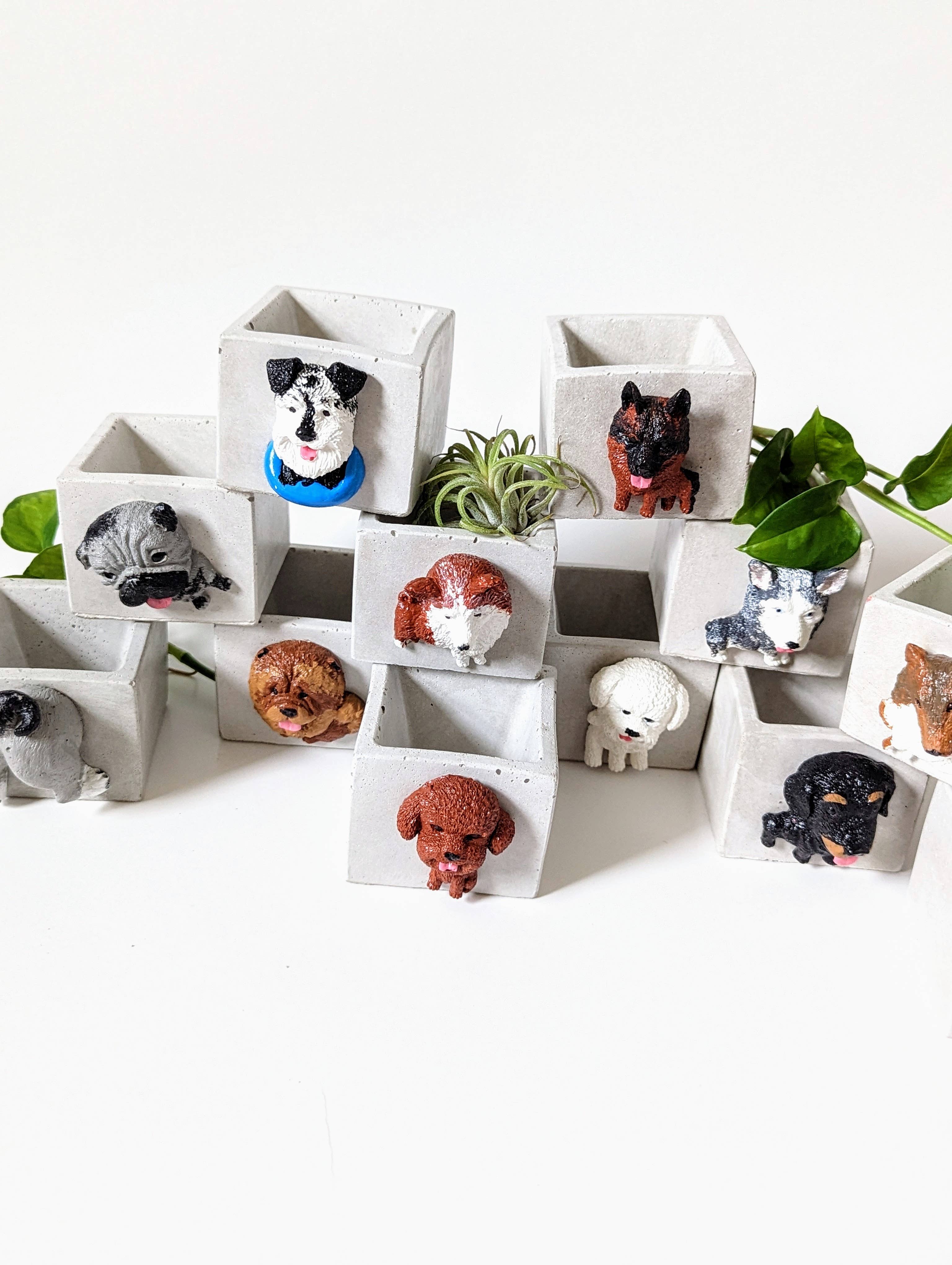 ForgottenProperty - Wholesale Plant pot - Doggo Mini Concrete Planter and Air Plant Holder3