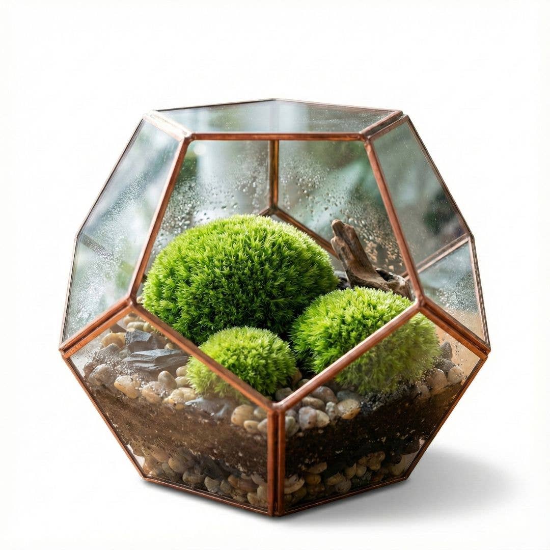 Moss & Stone Gardens - Wholesale Terrarium - Cushion Moss for Terrariums2