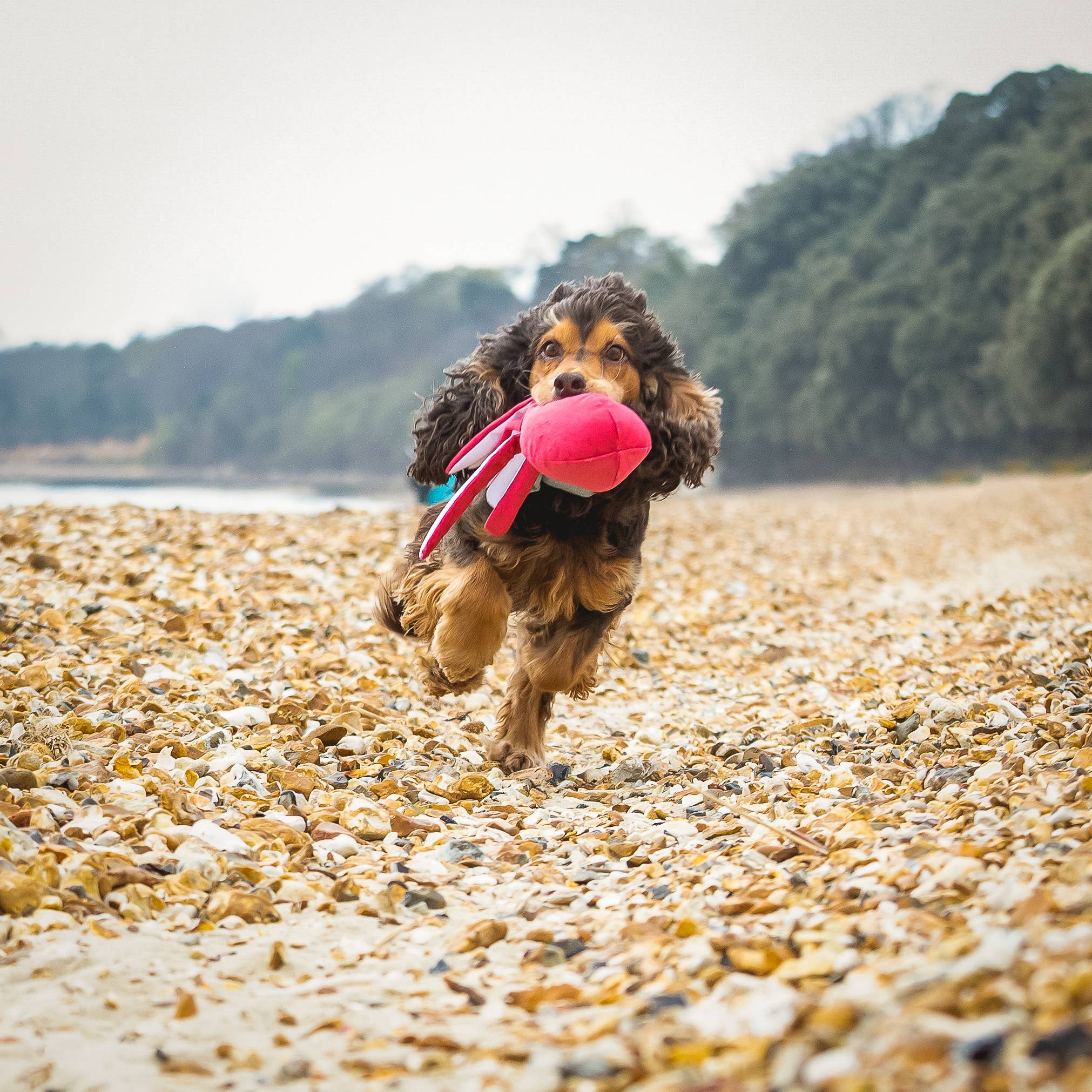 Sustainapaws – wholesale Pet plush toy – Dog – Octopus Double Layered Recycled Plastic Plush Eco Dog Toy7