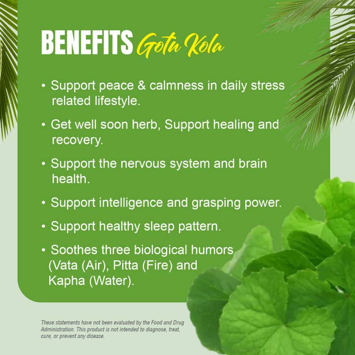 HerbsForever - Wholesale Oral Supplement/Vitamin - Gotu Kola Centella 20% Triterpene 10:1 Extract 60 Caps 880mg3