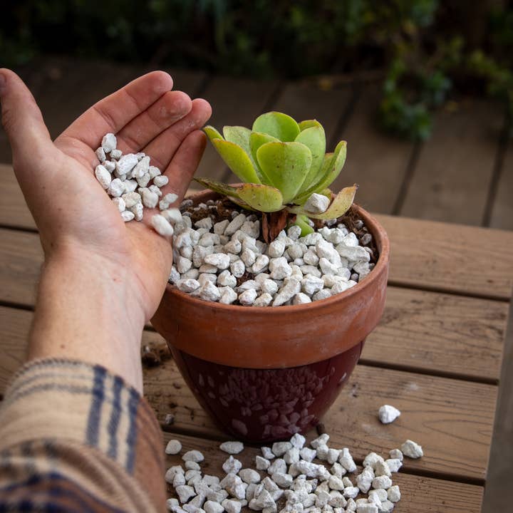 Ivy May Co - Wholesale Planting/Potting Soil - Bulk Amendments – 3/8" Screened Horticultural Pumice (5 Gal)