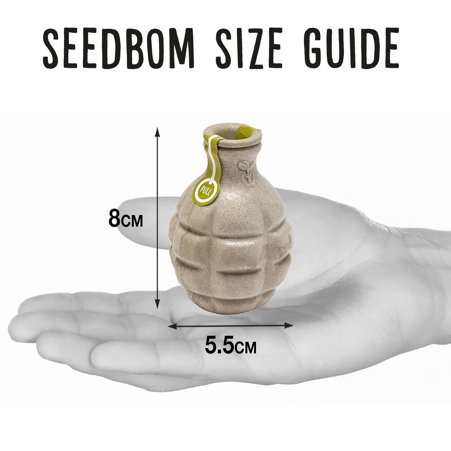 Shroot: Kabloom Seedboms - Wholesale Plant Seeds - Butterflybom Seedbom - Butterfly Wildflower Grow Kit + CDU7