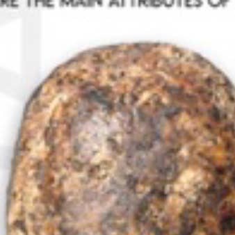 Ovales de savon noir africain pour la vente par Skin by Miriam Be.