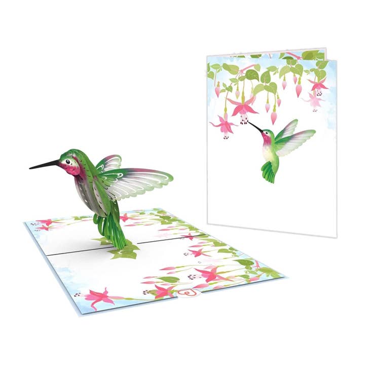papercrush - Wholesale Everyday Greeting Card - Hummingbird pop-up card2