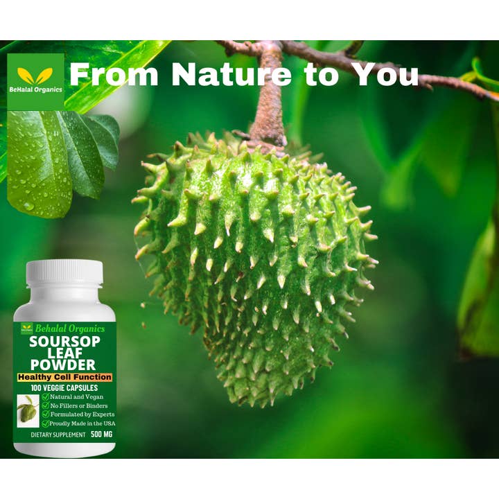 Behalal Organics - Wholesale Oral Supplement/Vitamin - Soursop Leaf Powder Capsule For Healthy Cell Function 500mg7
