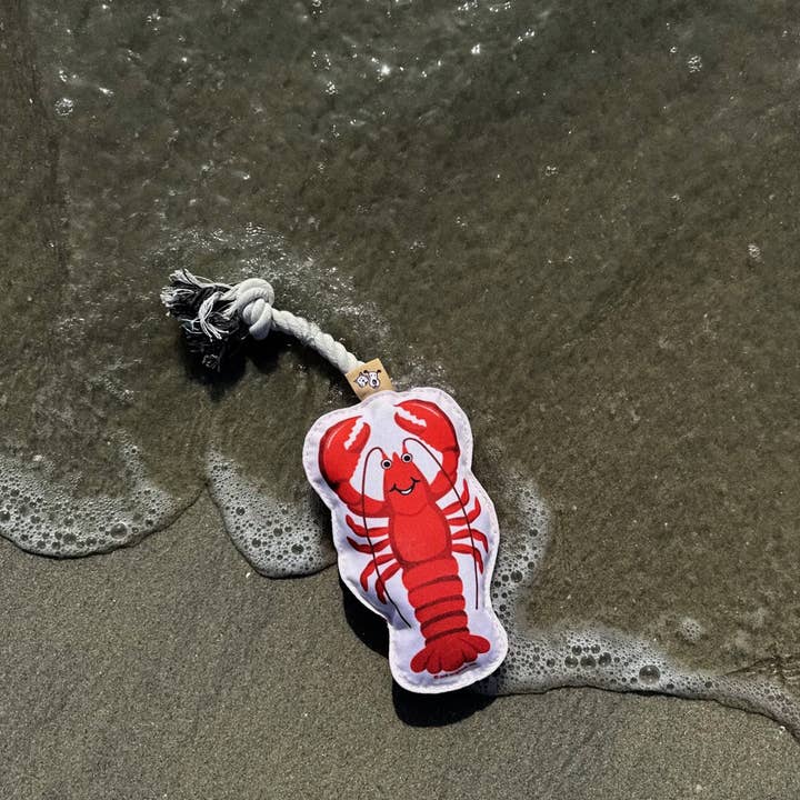 Speckle and Spot by Ore’ Originals - Wholesale Pet Toy - Dog - Rope Dog Toy | Lobster4