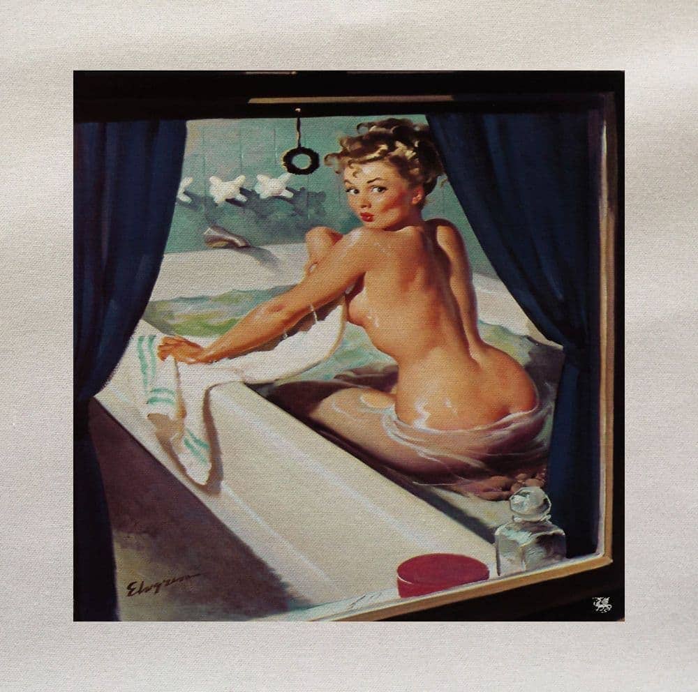 Hills Of Fabric - Wholesale Art Print - Bathroom Window Pin Up Girl Printed On Fabric Panel0