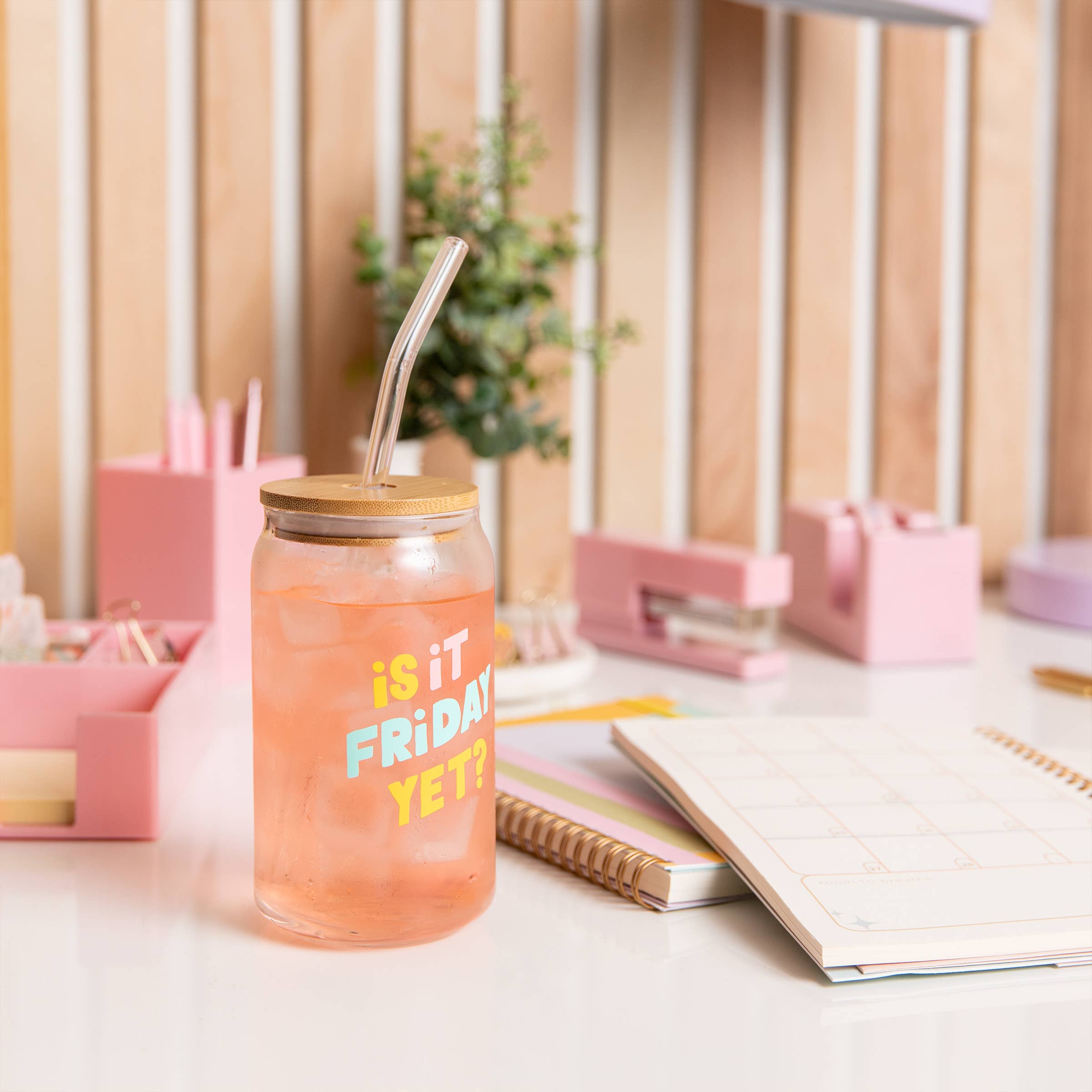 Talking Out of Turn - Wholesale Drinking Glass/Cup - Can Glass w/Lid + Straw (SALE!)9