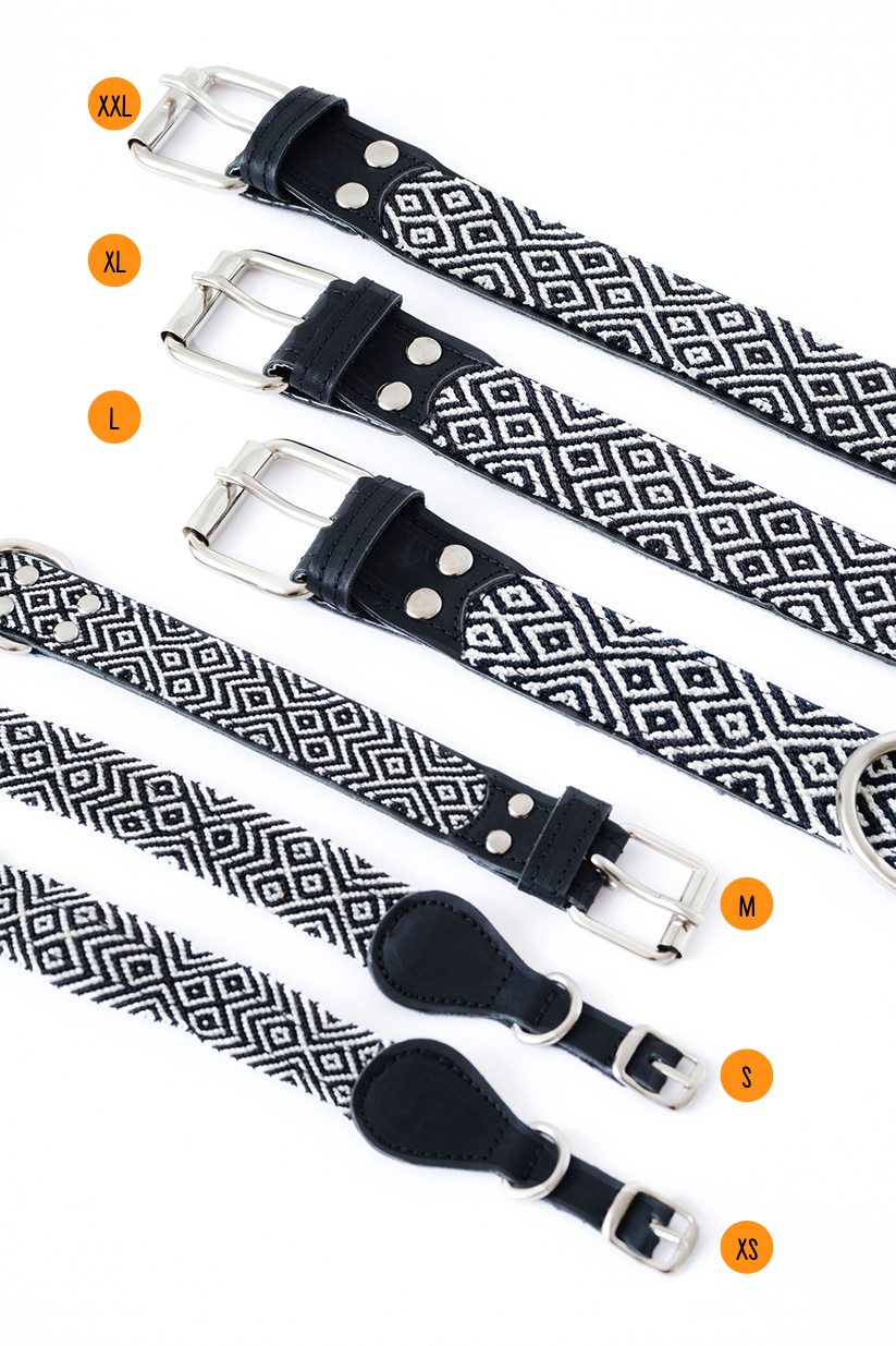 Apapáchalos- Pets - Wholesale Pet Collar - Dog - Cascabel black and white dog collar1
